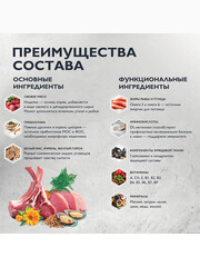Миниатюра-1