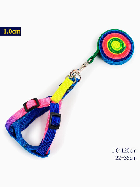 Шлейка+поводок для кошек "Радуга" 1см, 22-38 см