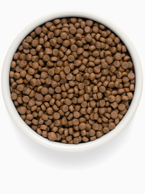 Корм Premier Adult Low Grain Turkey (низкозерновой) для кошек, с индейкой, 400 г