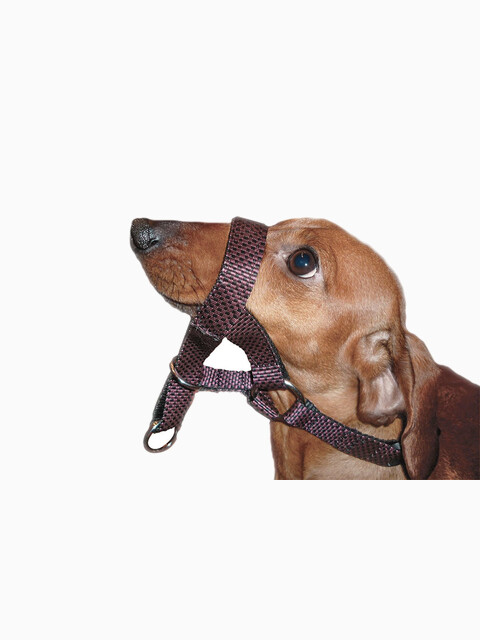 Недоуздок синтетический 25мм (средний), черный