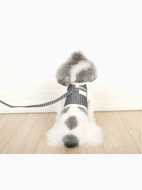 Комплект шлейка и поводок Hoopet в полоску, размер L (обхват груди 43-50 см)