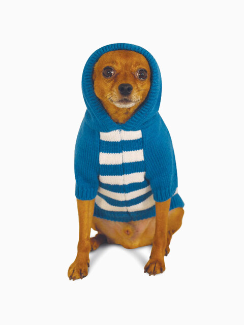 Свитер Disney Stitch, размер XS ( длина спины 20см)