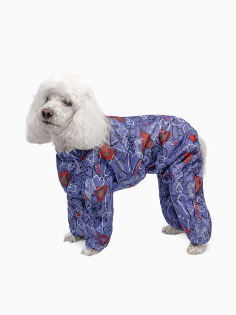 Комбинезон - дождевик "Карликовый пудель", длина спины 24 см