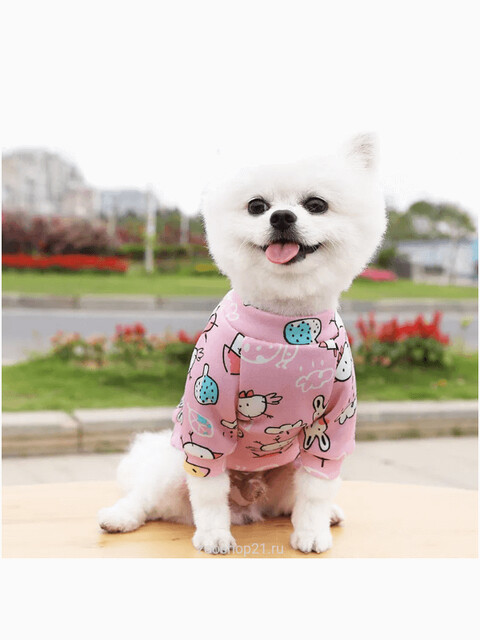 Толстовка "Яркий принт", размер ХS (длина спины 20 см), розовый