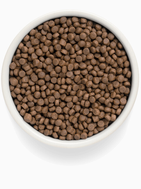 Корм Premier Sterilised Low Grain Turkey (низкозерновой) для стерилизованных кошек, с индейкой, 2 кг