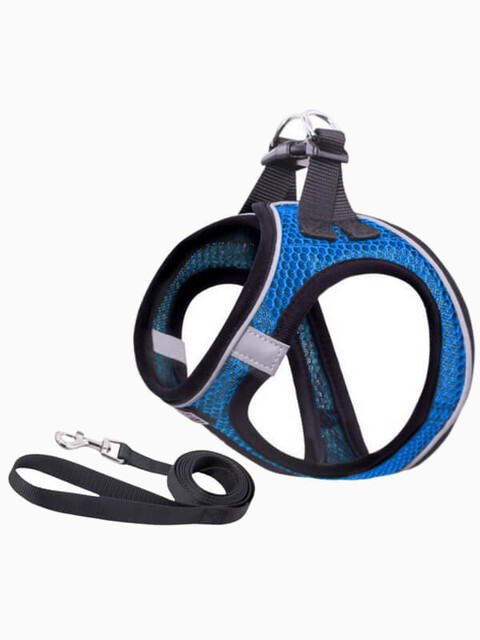 Комплект шлейка и поводок сетчатый размер XS (обхват груди 26-30 см) синий