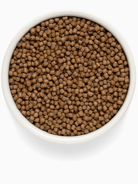 Корм Premier Kitten Low Grain Turkey (низкозерновой) для котят, с индейкой, 2 кг