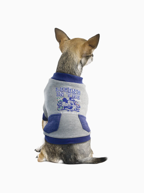 Толстовка Disney Mickey College, размер L (длина спины 35см)