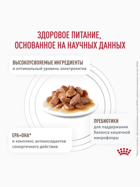 Корм Royal Canin GastroIntestinal (в соусе), для кошек при лечении ЖКТ, 85 г
