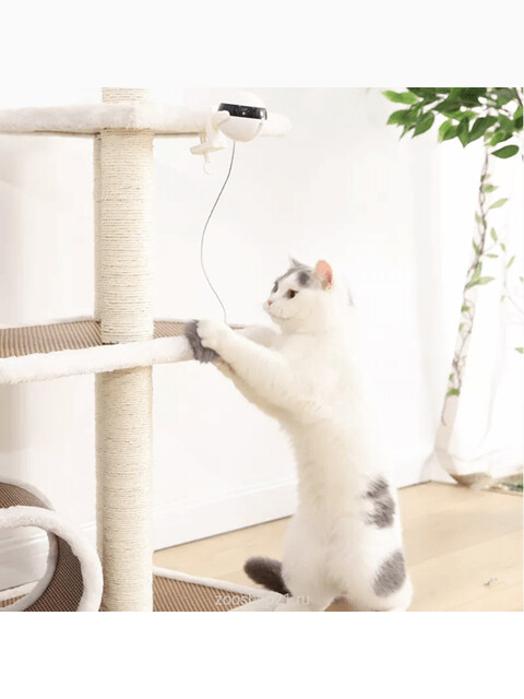 Автоматическая игрушка - дразнилка для кошек