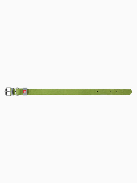 COLLAR ошейник Waudog Classic кожа, металлическая пряжка (шир.12мм, дл.19-25см) салатовый