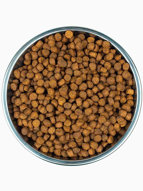 Корм Wellness CORE Kitten для котят, с индейкой, 300 г