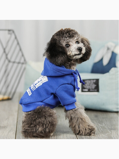 Свитер с капюшоном Cheepet, цвет синий, размер XXL (длина спины 40 см)