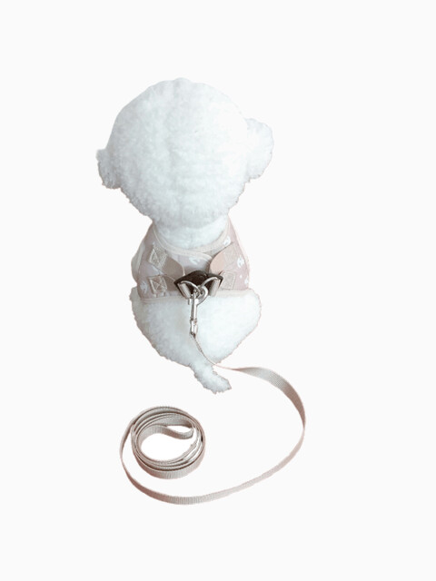 Комплект шлейка и поводок «Якорь» размер S (обхват груди 35-38 см) бежевый