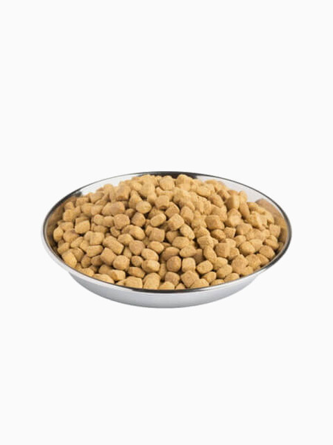 Корм PRO PLAN Veterinary diets DM Diabetes Management для кошек при сахарном диабете, 1.5 кг