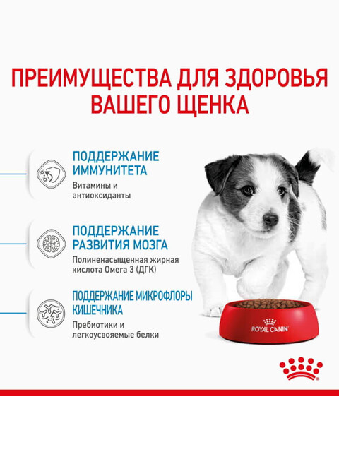 Корм Royal Canin Mini Puppy для щенков малых пород 2-10 мес., 2 кг