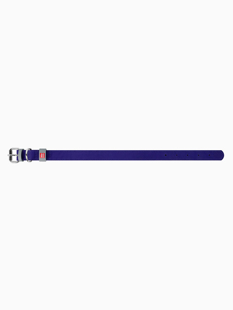 COLLAR ошейник Waudog Classic кожа, металлическая пряжка (шир.25мм, дл.38-49см) фиолетовый