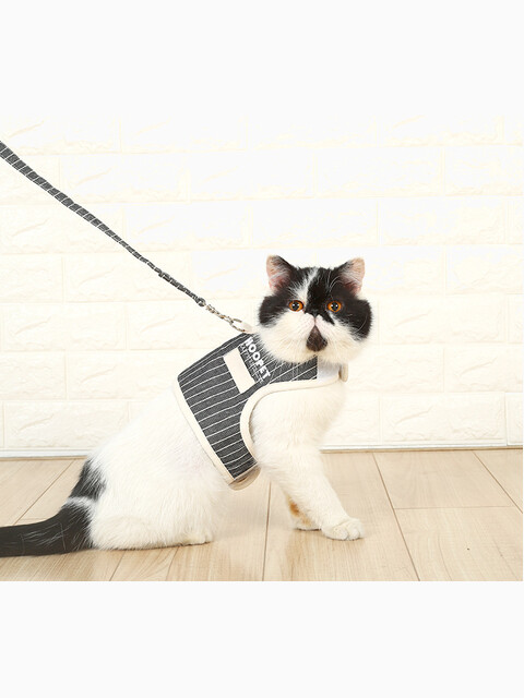 Комплект шлейка и поводок Hoopet в полоску, размер L (обхват груди 43-50 см)