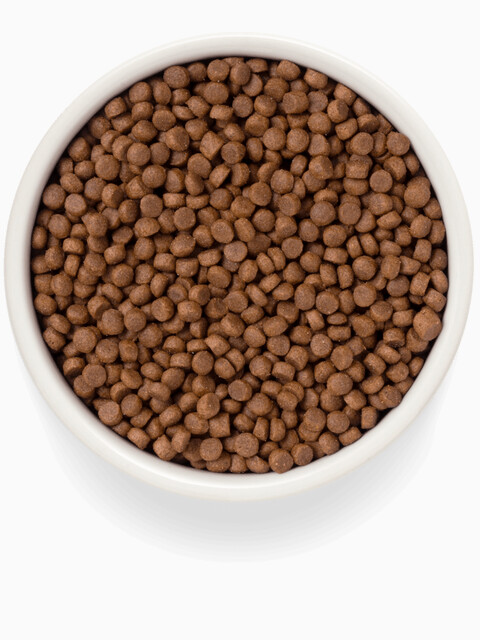 Корм Premier Adult Low Grain Salmon & Turkey (низкозерновой) для кошек, лосось с индейкой, 400 г