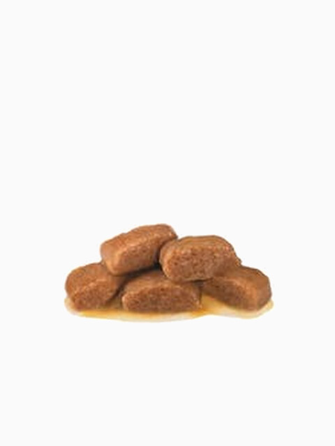 Корм Royal Canin Gastro Intestinal Moderate Calorie (в соусе) для кошек при лечении ЖКТ (низкокалорийный), 100 г