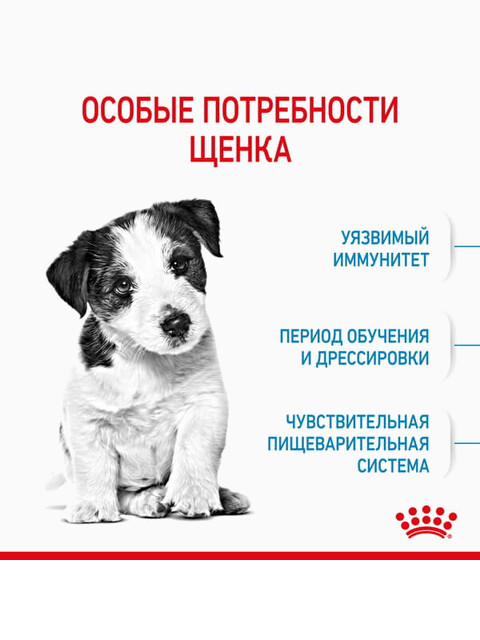Корм Royal Canin Mini Puppy для щенков малых пород 2-10 мес., 800 г