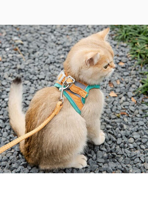 Комплект шлейка и поводок бархатистый, размер М (обхват груди 28-32 см) зелено-оранжевый