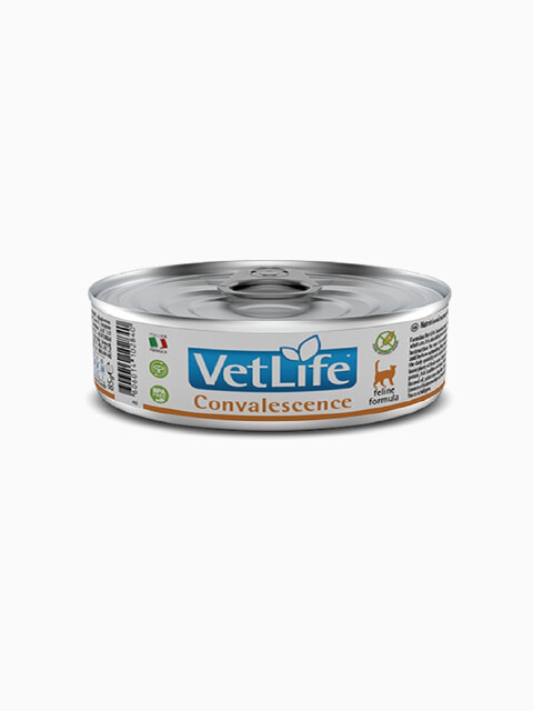 Корм Farmina Vet Life Convalescence (паштет) для кошек в период восстановления, 85 г