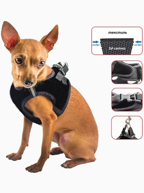 Шлейка текстильная 3-х-слойная Дарэлл "Zoo-M. Герда", размер S, обхват груди 23-28 см