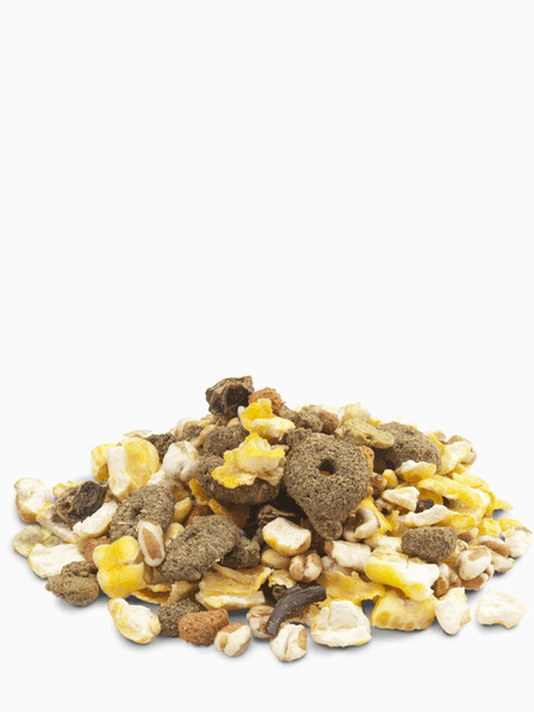 Versele Laga Корм дополнительный для грызунов с попкорном Crispy Snack Popcorn, 650 г