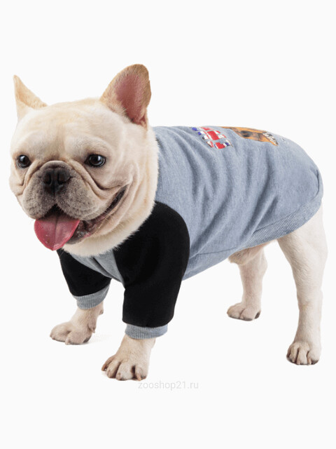 Толстовка "Bulldog", размер ХL (длина спинки 35 см), цвет серый