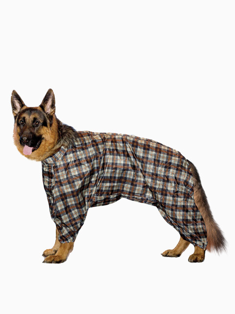 Комбинезон - дождевик "Овчарка", длина спины 70см