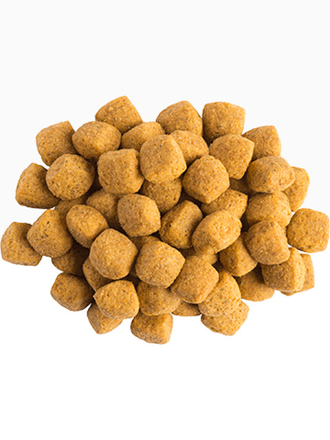 Корм PRO PLAN Veterinary diets EN Gastrointestinal для собак при расстройствах пищеварения, 1.5 кг