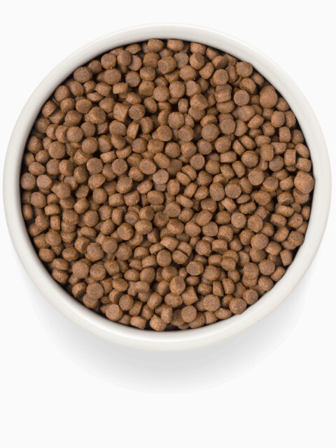 Корм Premier Sterilised Low Grain Salmon & Turkey (низкозерновой) для стерилизованных кошек, лосось с индейкой, 400 г