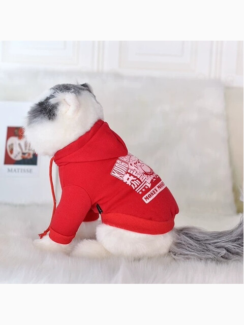 Свитер с капюшоном Cheepet, цвет красный, размер М (длина спины 25 см)