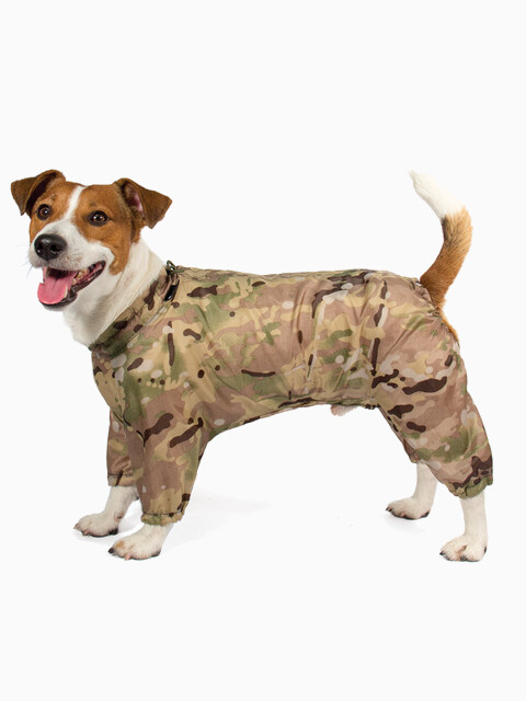 Комбинезон - дождевик "Джек Рассел терьер", длина спины 30см