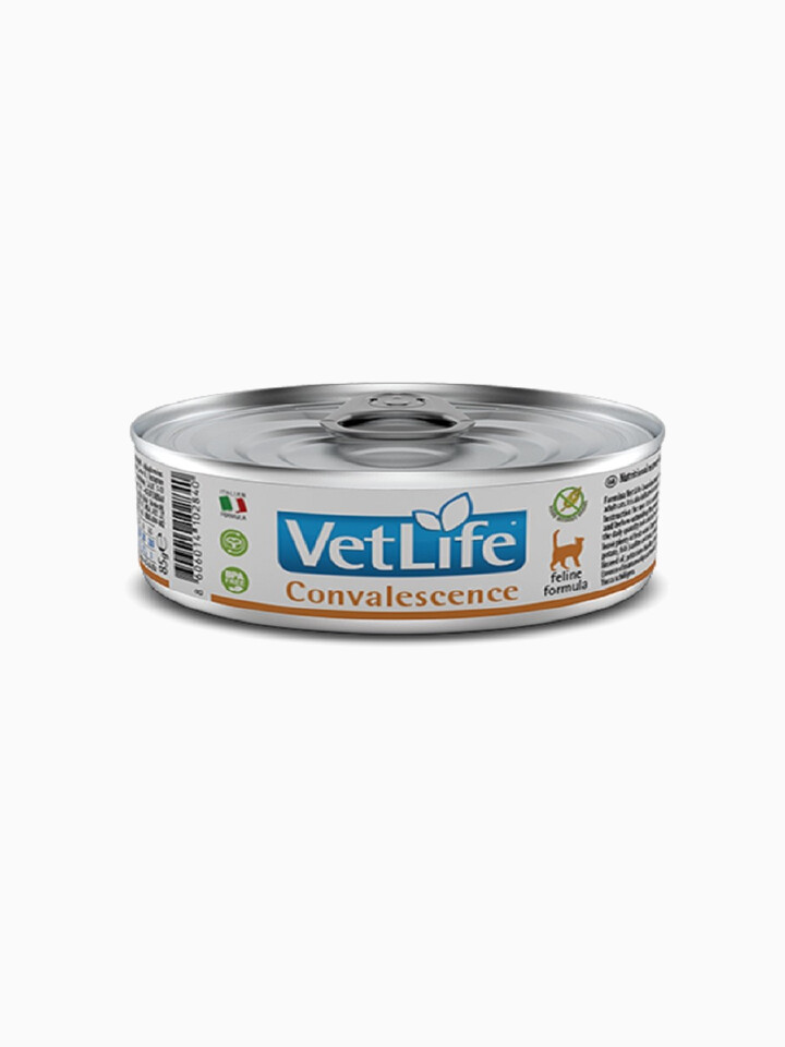 Корм Farmina Vet Life Convalescence (паштет) для кошек в период восстановления, 85 г