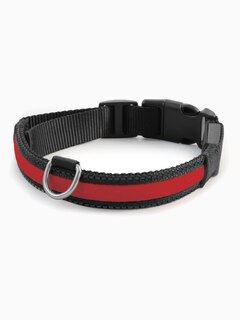 Ошейник светодиодный NIGHT CITY красный S, 20*230-310мм