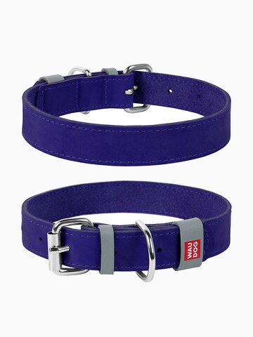 COLLAR ошейник Waudog Classic кожа, металлическая пряжка (шир.12мм, дл.19-25см) фиолетовый