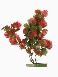 Растения для аквариума, 6 шт., высота 25 см