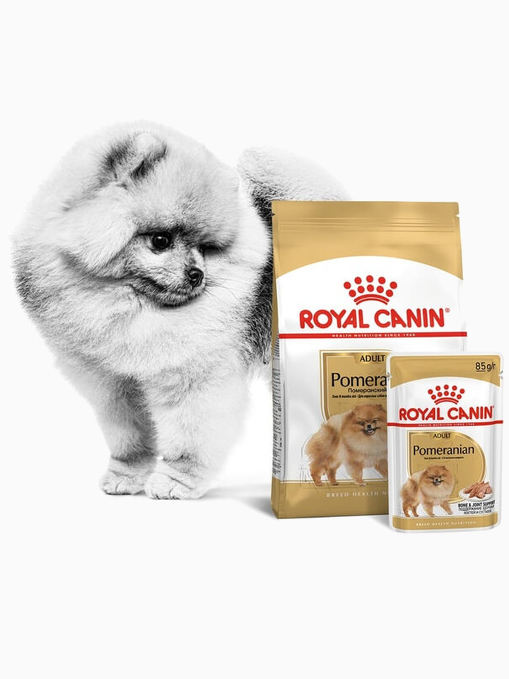 Корм Royal Canin Pomeranian Adult для Померанского Шпица старше 8 мес., 500 г + пауч в ПОДАРОК