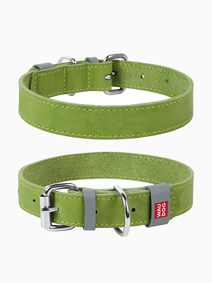 COLLAR ошейник Waudog Classic кожа, металлическая пряжка (шир.15мм, дл.27-36см) салатовый