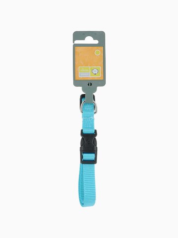 Ошейник для собак Hunter Smart "Ecco XS", бирюзовый