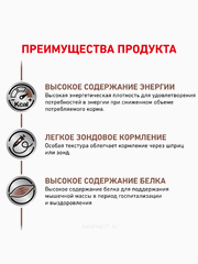 Миниатюра-2