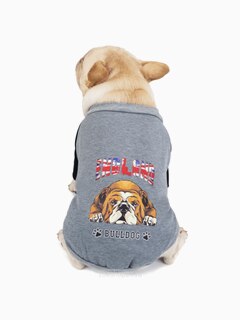 Толстовка "Bulldog", размер L (длина спинки 30 см), цвет серый