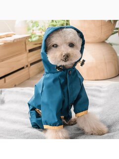 Дождевик Cheepet c капюшоном, цвет синий, размер М (длина спины 25 см)