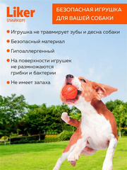 Миниатюра-3