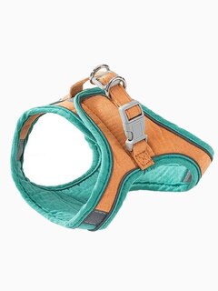 Комплект шлейка и поводок бархатистый, размер XL (обхват груди 40-46 см) зелено-оранжевый