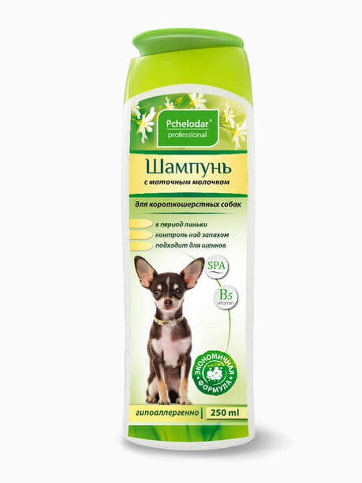 Pchelodar (Пчелодар) шампунь питательный с маточным молочком для короткошёрстных собак, 250 мл