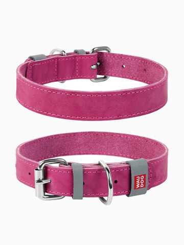 COLLAR ошейник Waudog Classic кожа, металлическая пряжка (шир. 12мм, дл. 19-25см) розовый