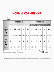 Миниатюра-1
